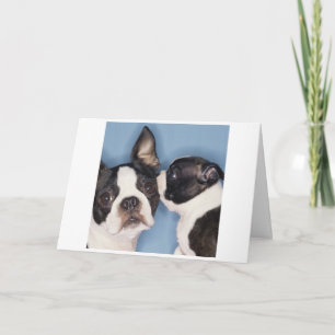 Boston Terrier Mother's Day Card Kaart