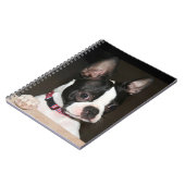 Boston Terrier Notitieboek (Linkerzijde)