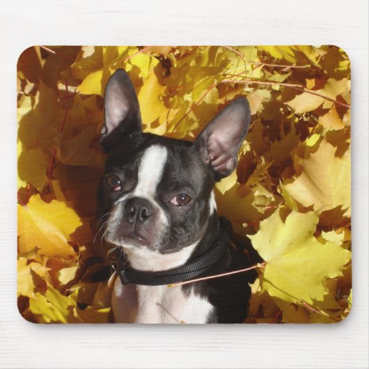 Boston Terrier Omringd door Fall Leaves Mousepad Muismat (Voorkant)