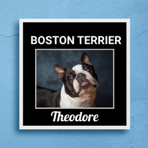 Boston Terrier op maat gemaakte hondposter Poster