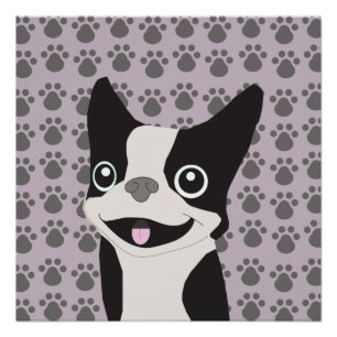 Boston Terrier, Paarse lavendel Perfect Poster