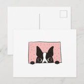 Boston Terrier Peeking Briefkaart (Voorkant / Achterkant)