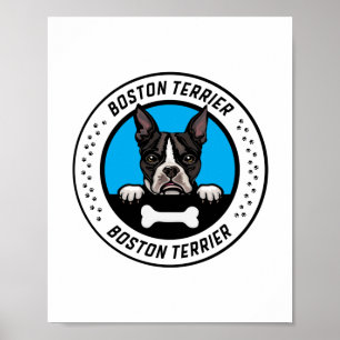 Boston Terrier Peeking Illustration Badge Poster