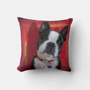 Boston Terrier Pillow Kussen