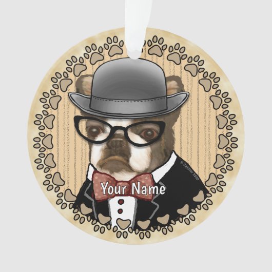 Boston Terrier porte des lunettes (devant)