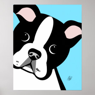 Boston Terrier Portrait Poster