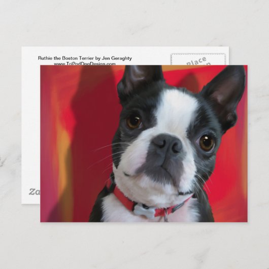 Boston Terrier Post Card Briefkaart (Voorkant / Achterkant)
