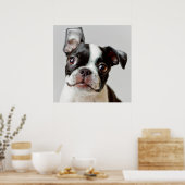 Boston Terrier Poster (Keuken)