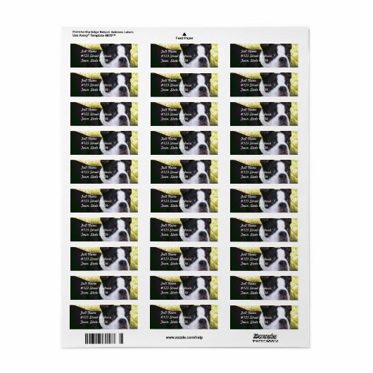 Boston Terrier Pup-maillabels Etiket (Full Sheet)