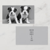 Boston Terrier puppies visitekaartjes (Voorkant / Achterkant)