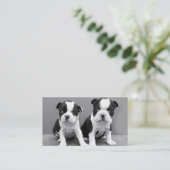 Boston Terrier puppies visitekaartjes (Staand voorkant)