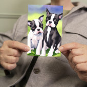 Boston Terrier Puppies Waterverf Greeting Kaart
