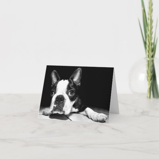 Boston Terrier Puppy Dog Blank Notecard Kaart (Voorkant)