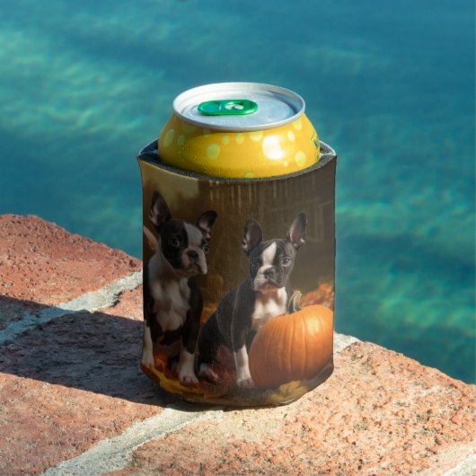 Boston Terrier Puppy Herfst Delight Pompoen Blikjeskoeler (Insitu Zwembad)