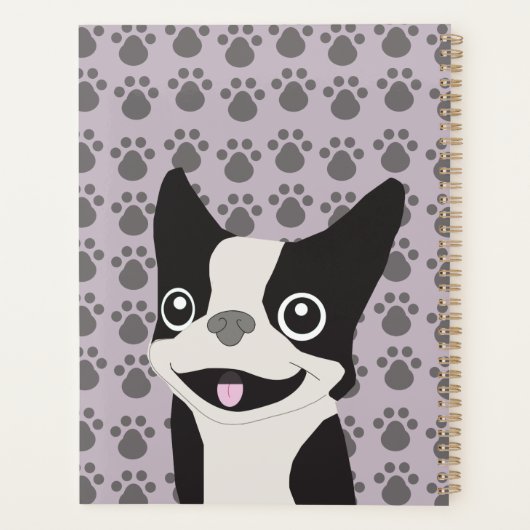 Boston Terrier, Purple lavender (Dos)