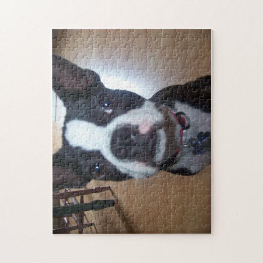BOSTON TERRIER PUZZLE LEGPUZZEL (Verticaal)