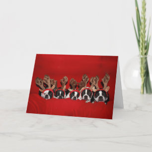 Boston Terrier Rendier Christmas Kaart