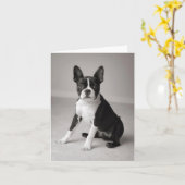 Boston Terrier reposant la carte de note (Fleur jaune)