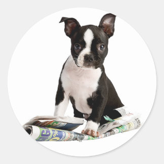 BOSTON TERRIER RONDE STICKER
