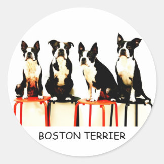 BOSTON TERRIER RONDE STICKER
