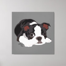 Boston Terrier Schattige Puppy Esthetische Fine Ar