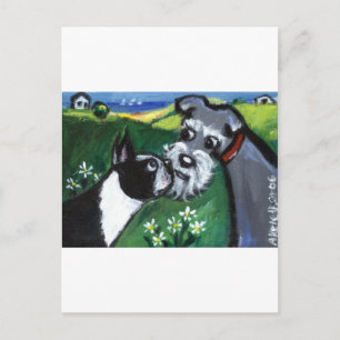 Boston Terrier & Schnauzer sniff Briefkaart