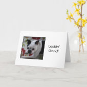 Boston Terrier semblant la bonne carte (Fleur jaune)