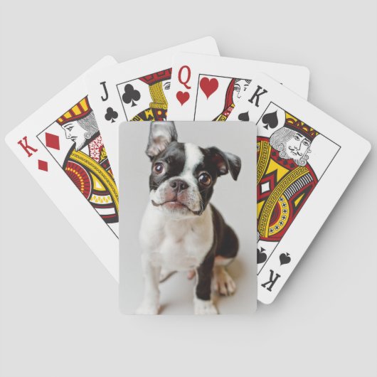 Boston Terrier Speelkaarten (Achterkant)