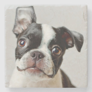 Boston Terrier Stenen Onderzetter