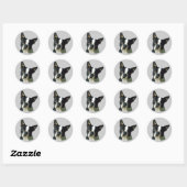 Boston Terrier Sticker (Vel)