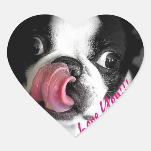 Boston Terrier Stickers (Voorkant)