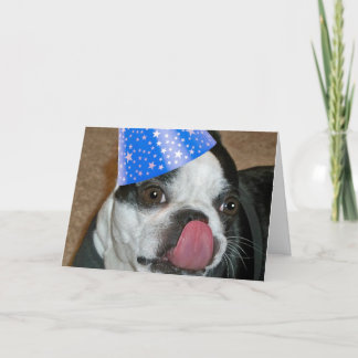 Boston Terrier Tongue Happy Birthday Card Kaart