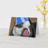 Boston Terrier Tongue Joyeuse carte d'anniversaire (Fleur jaune)