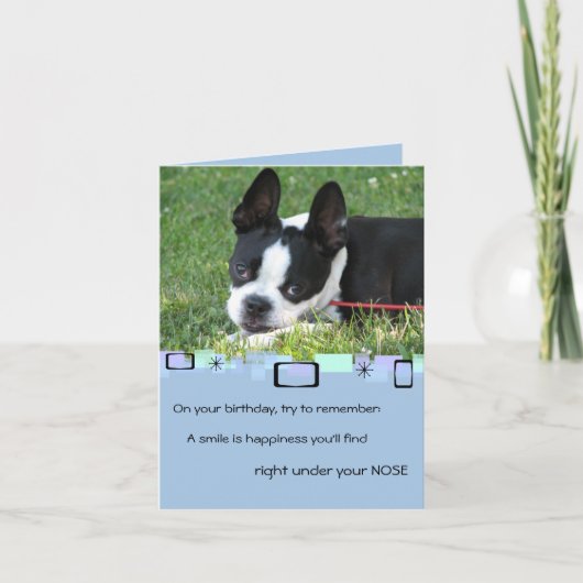 Boston Terrier Toutes les occasions Carte de voeux (Devant)