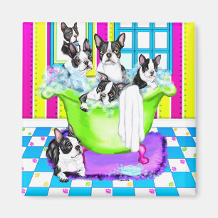 Boston Terrier Tub Full Magneet