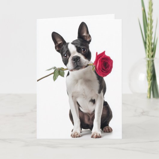 Boston Terrier Valentine – Dapper Love Kaart (Voorkant)