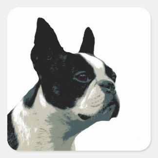 Boston Terrier Vierkante Sticker
