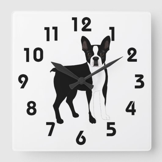 Boston Terrier Wall Clock Vierkante Klok (Voorkant)