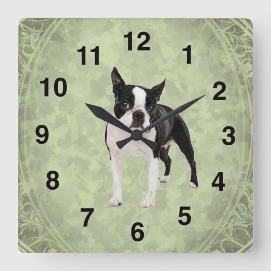 Boston Terrier Wall Clock Vierkante Klok (Voorkant)