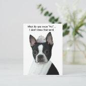 Boston Terrier: Wat bedoel je met "nee"? Briefkaart (Staand voorkant)
