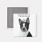 Boston Terrier: Wat bedoel je met "nee"? Magneet (Voorkant / Achterkant)