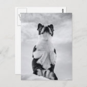 Boston Terrior Praying Briefkaart (Voorkant / Achterkant)