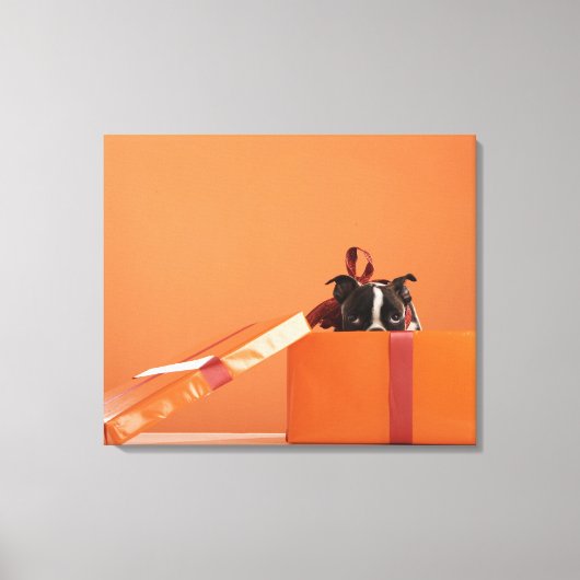 Boston verschrikkelijke puppy in cadeaudoos canvas afdruk (Voorkant)