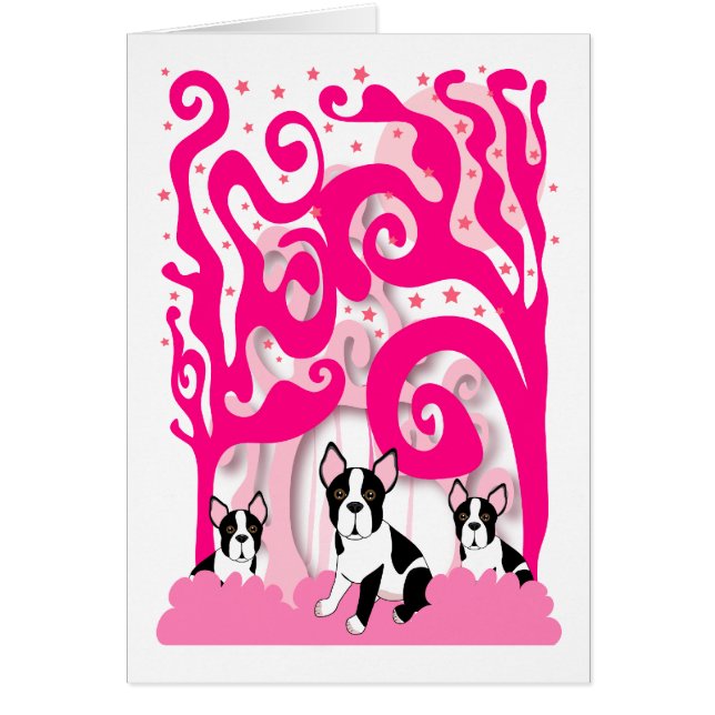 Bostons in de roze (Voorkant)