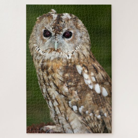 Bosuil Legpuzzel (Verticaal)