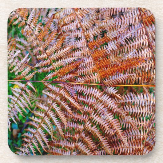 Bosvaren Bier Onderzetter (Voorkant)