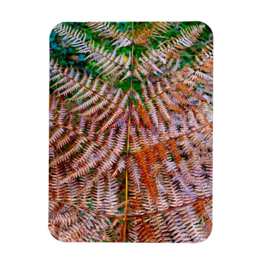 Bosvaren Magneet (Verticaal)
