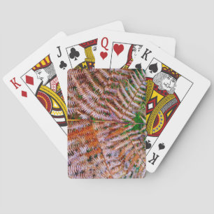 Bosvaren Pokerkaarten