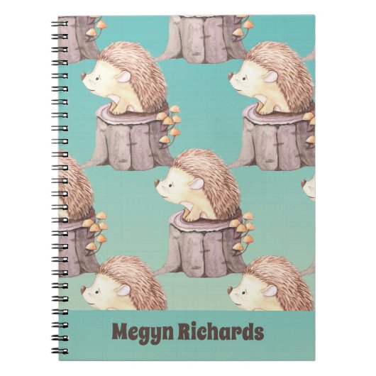 Bosvrienden Knuffel Baby Egeltje Notitieboek (Voorkant)