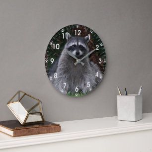 Boswasbeer natuurfoto met pootafdrukken grote klok